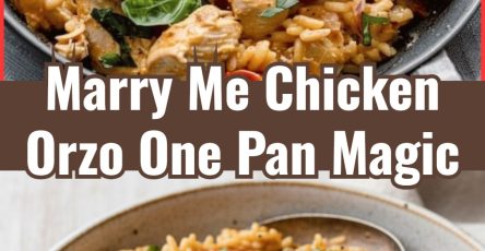 Quick One Pan Marry Me Chicken Orzo: Easy Family Cozy Winter Dinner
